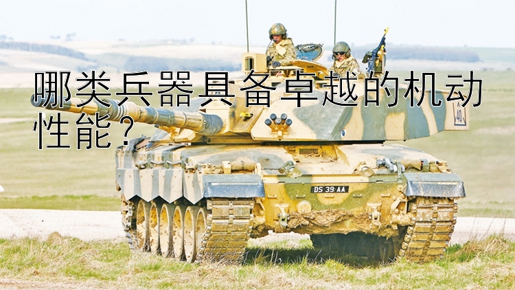 哪类兵器具备卓越的机动性能？