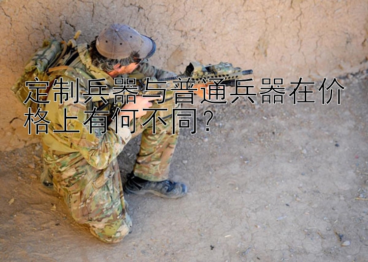 定制兵器与普通兵器在价格上有何不同？