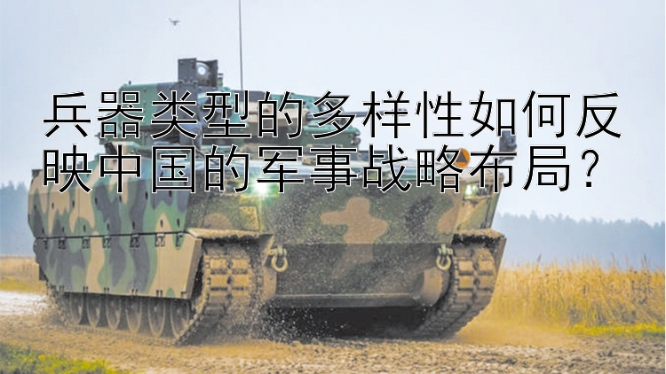 兵器类型的多样性如何反映中国的军事战略布局？