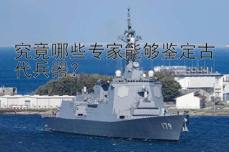 究竟哪些专家能够鉴定古代兵器？